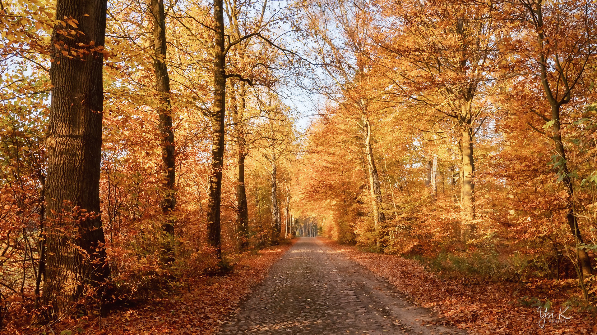 Goldener Herbst