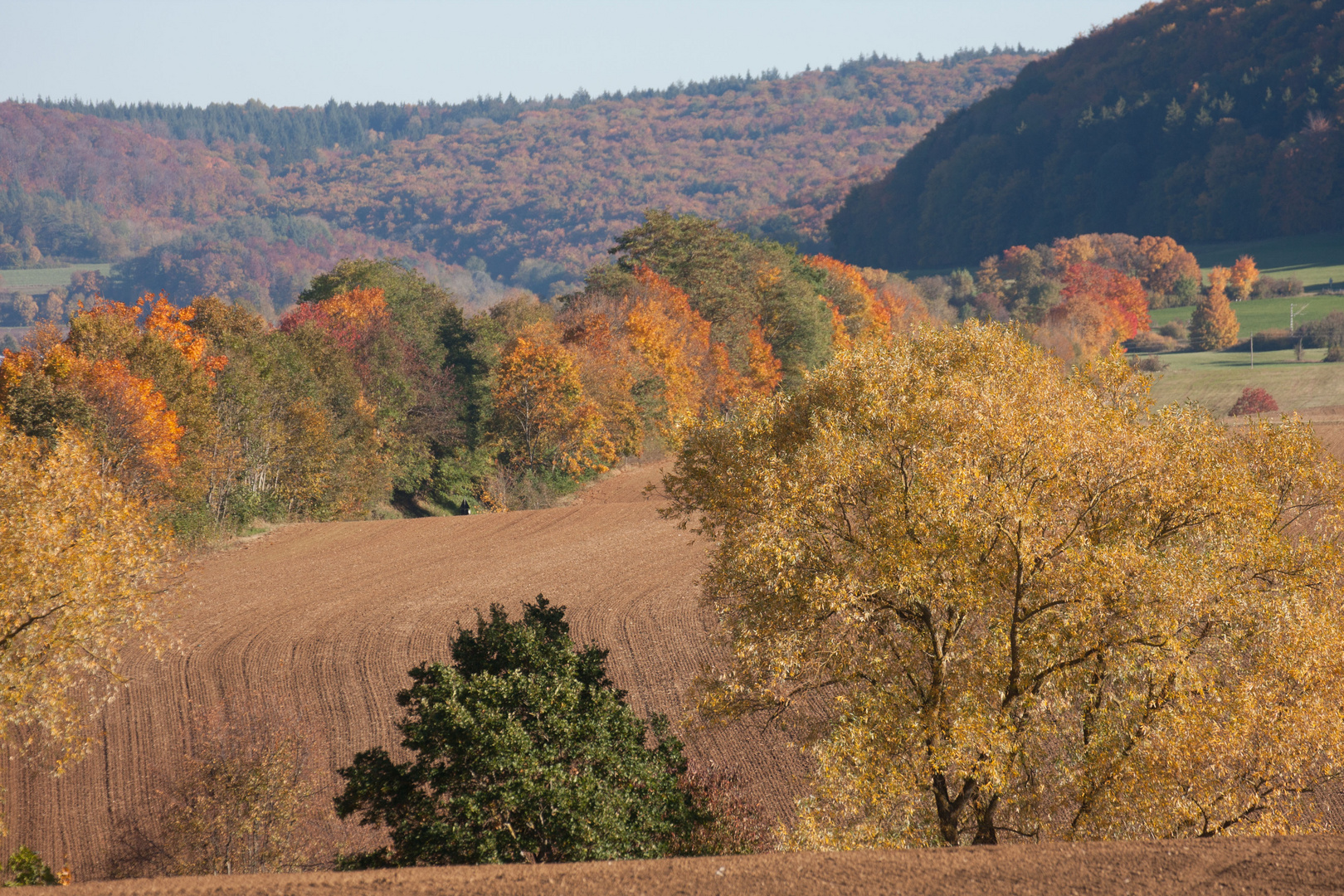 Goldener Herbst