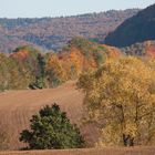 Goldener Herbst