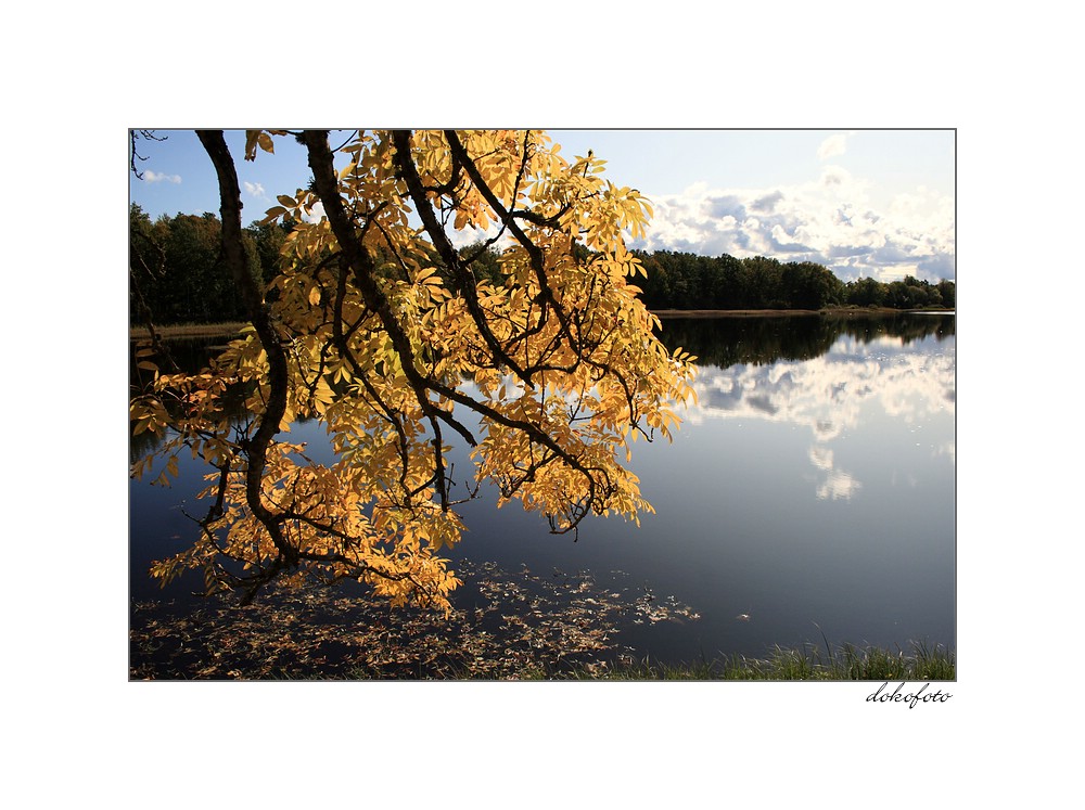 goldener Herbst