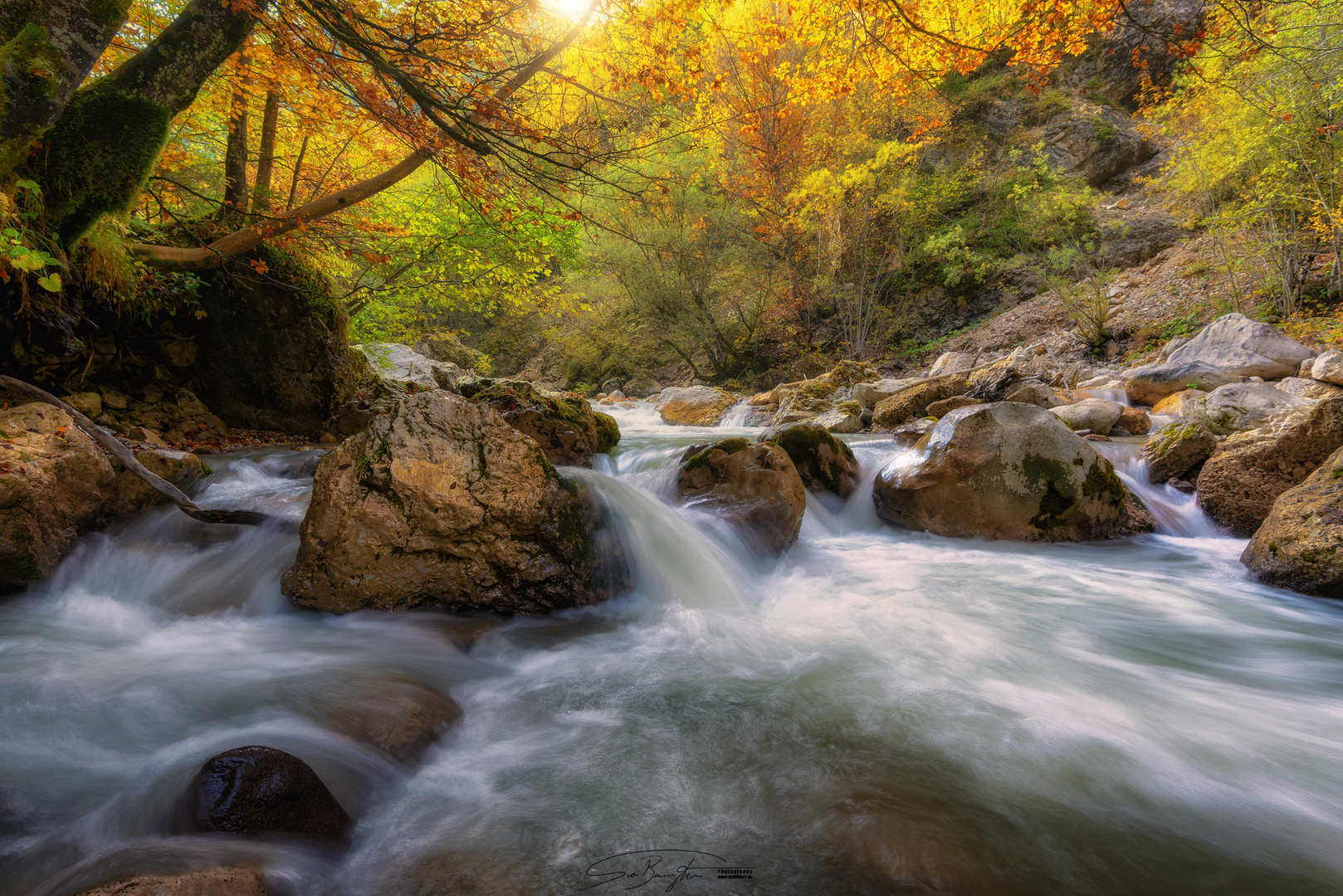 -Goldener Herbst-