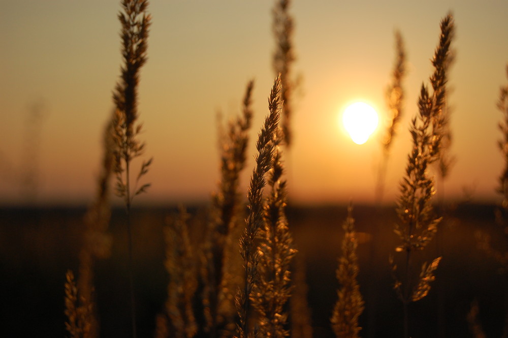 Goldener Herbst