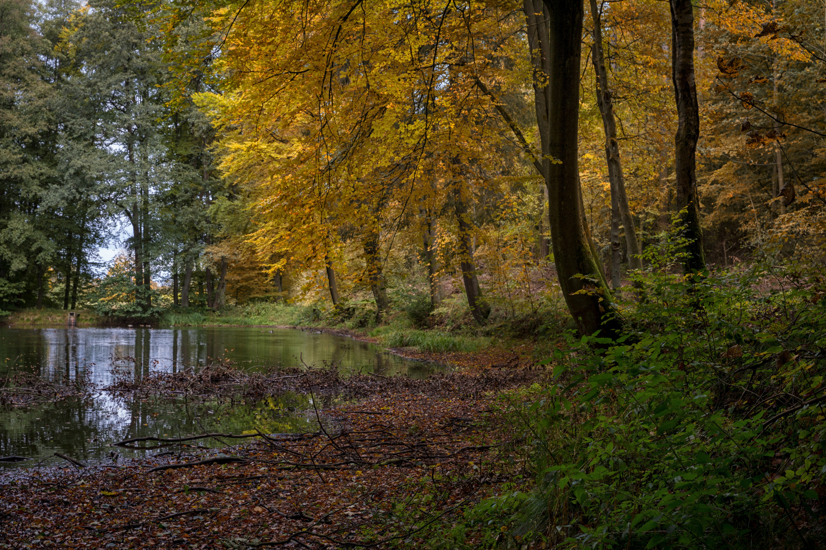 Goldener Herbst