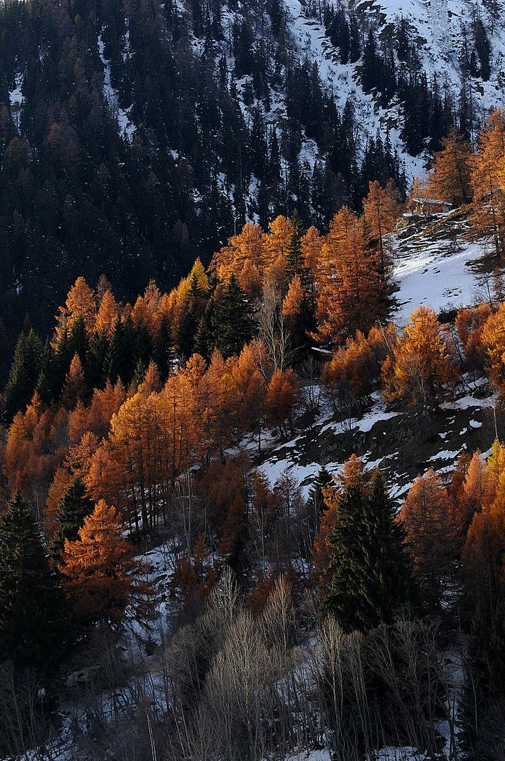 Goldener Herbst, erster Schnee