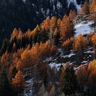 Goldener Herbst, erster Schnee