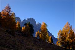 goldener Herbst