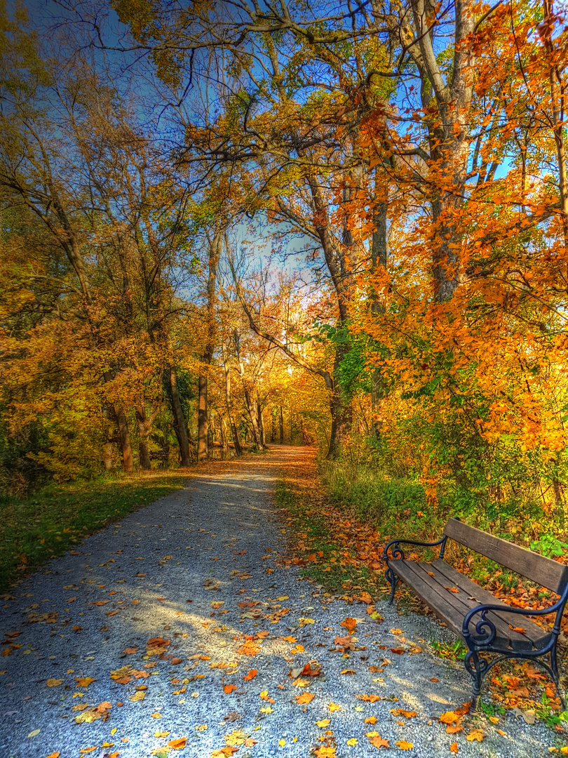 Goldener Herbst