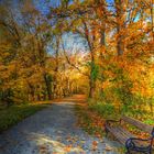 Goldener Herbst