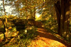 „Goldener Herbst“