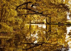 "Goldener Herbst"