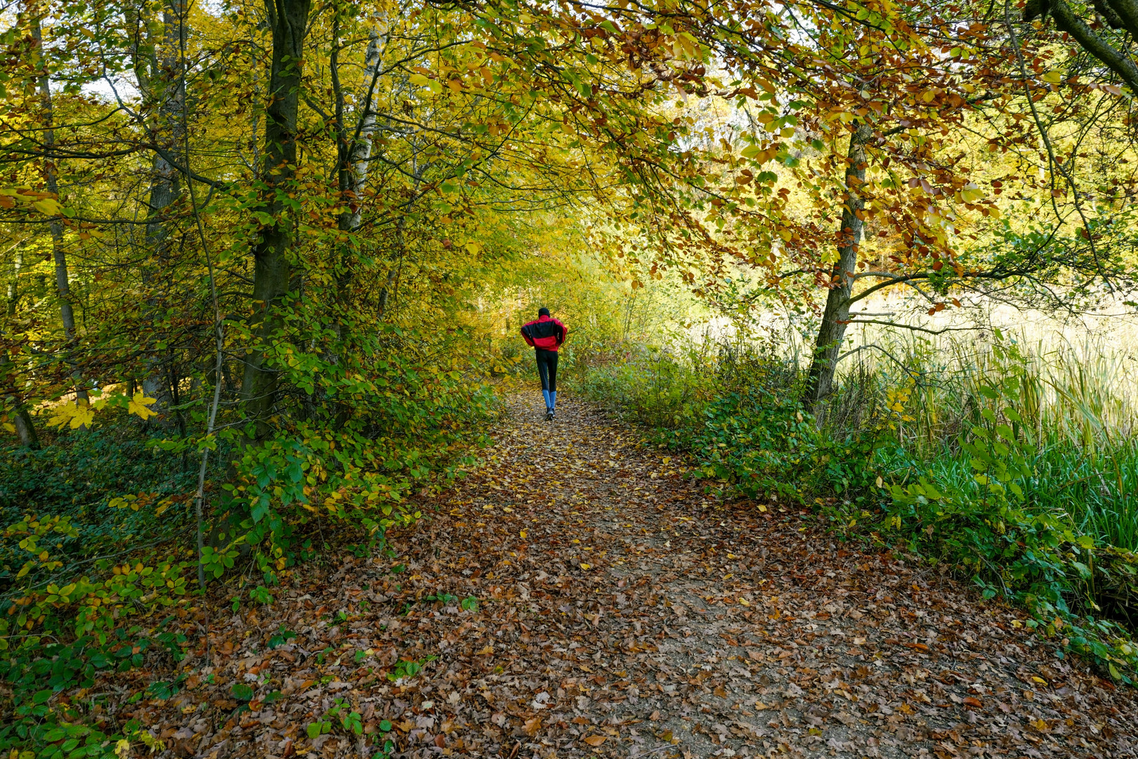 Goldener Herbst