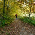 Goldener Herbst