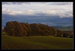 Goldener Herbst