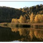 Goldener Herbst