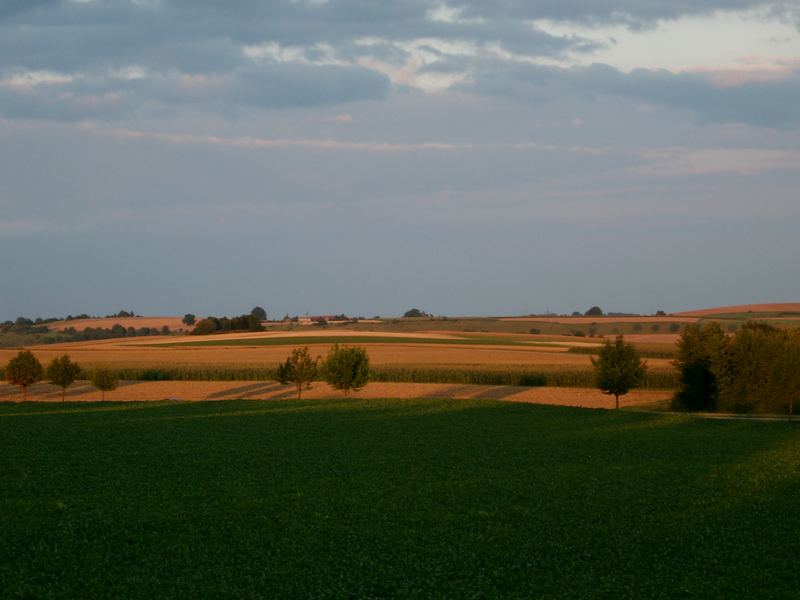 Goldener Herbst