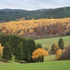 Goldener Herbst