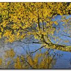 Goldener Herbst