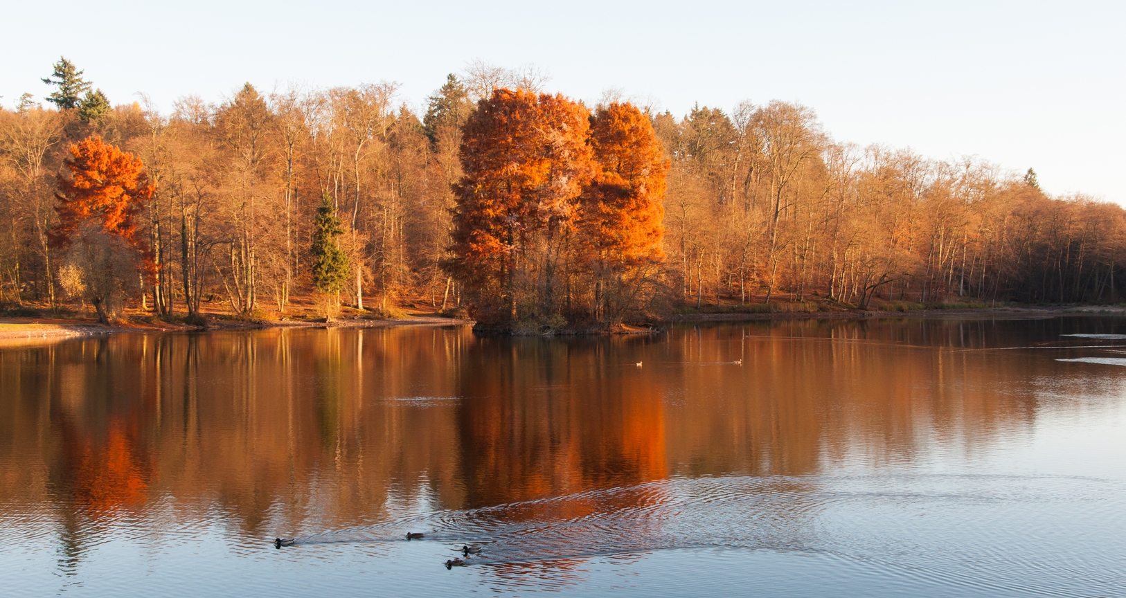 Goldener Herbst