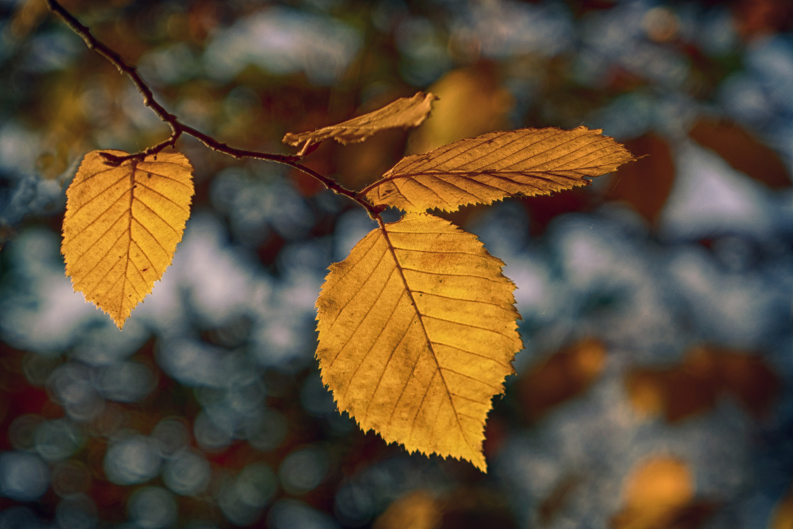 Goldener Herbst