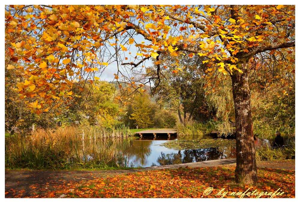 goldener Herbst