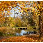 goldener Herbst