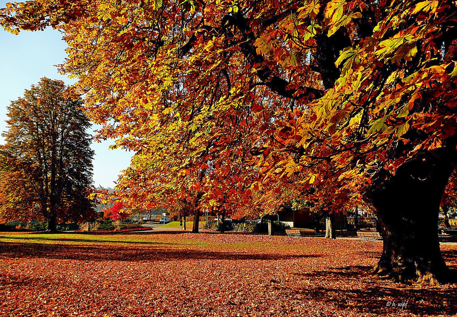 Goldener Herbst