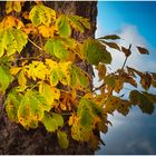 "goldener" Herbst