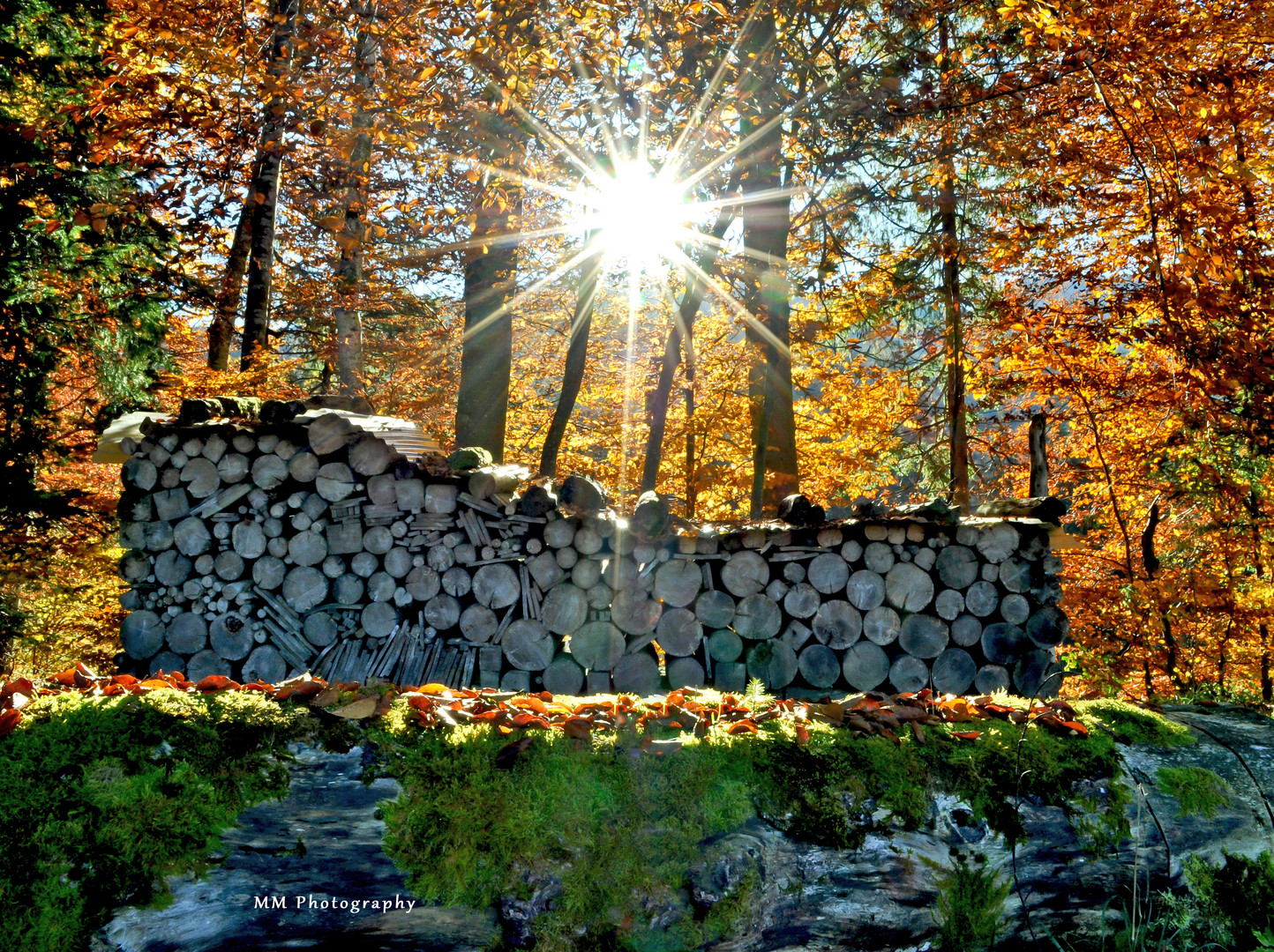 Goldener Herbst