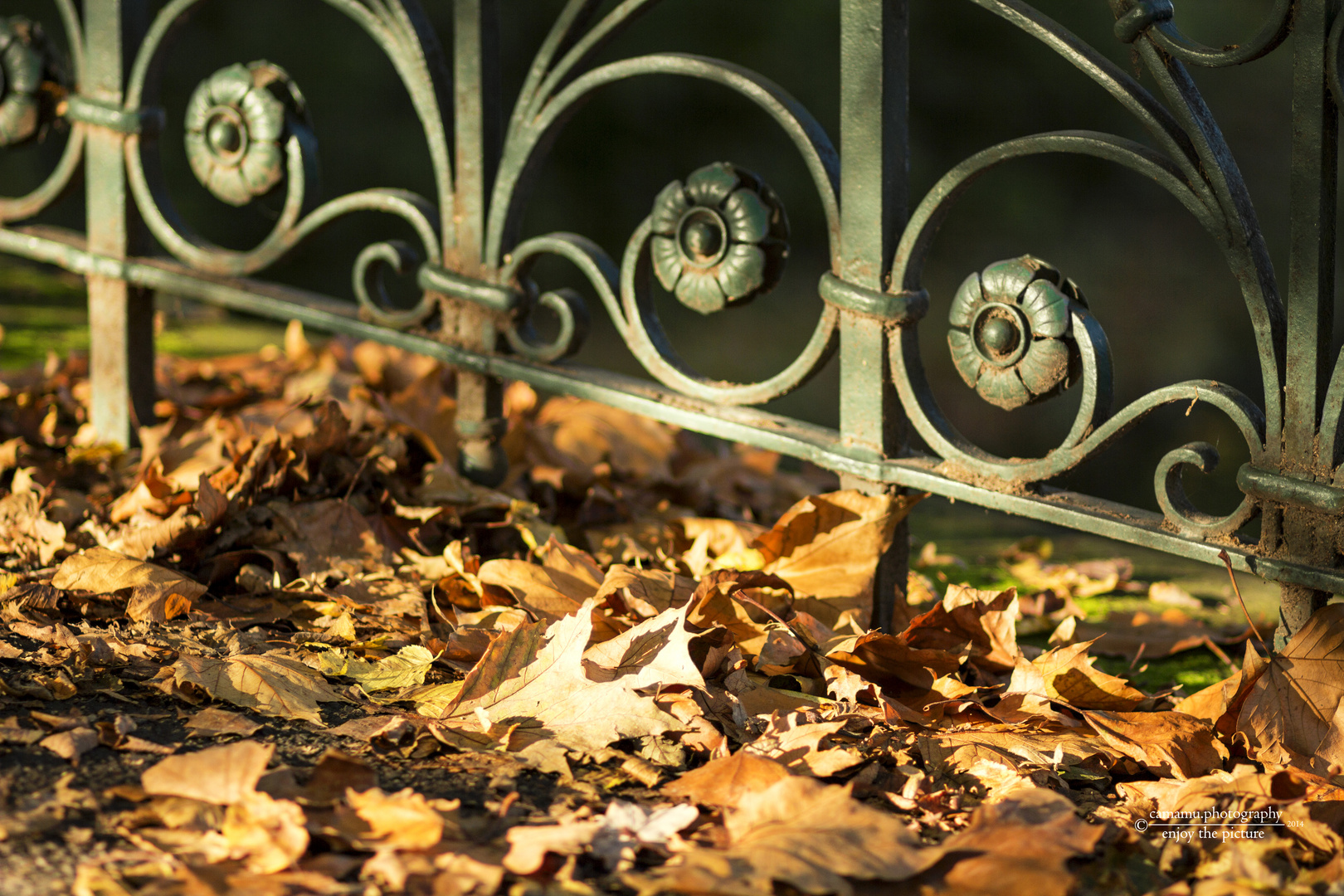 Goldener Herbst / Herbstspaziergang 2014