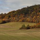 Goldener Herbst heute Mittag für wenige Stunden auch mit vernünftigen Sichtbedingungen...