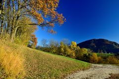 goldener Herbst I