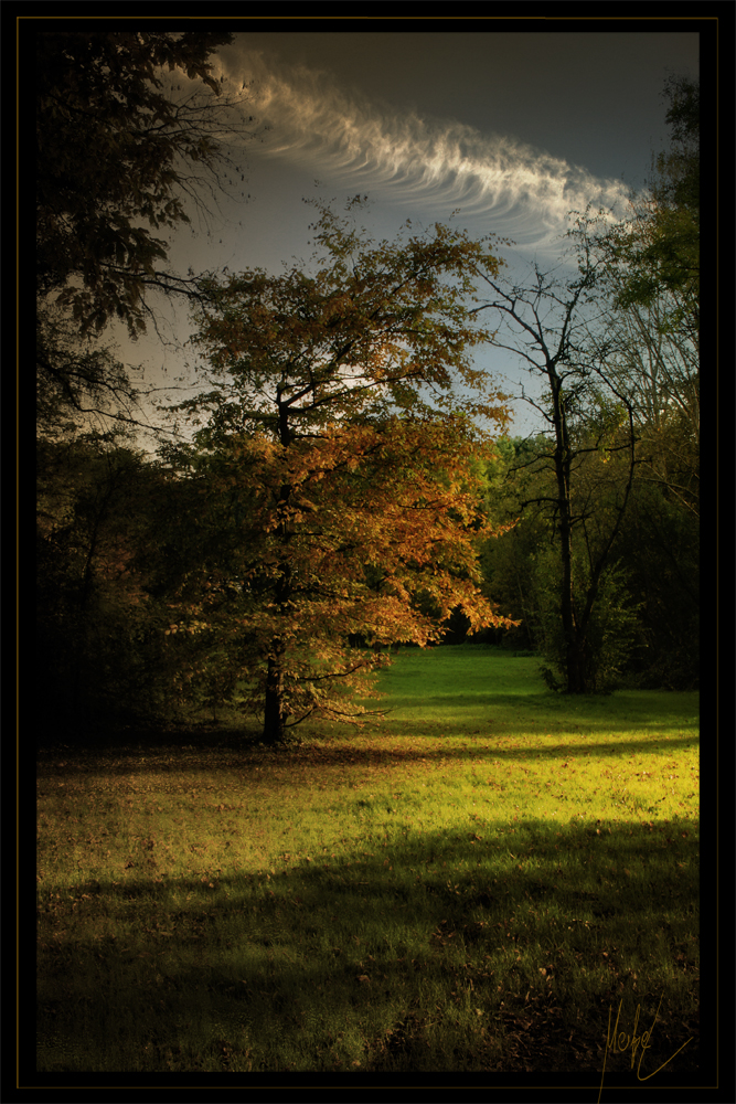 goldener Herbst II