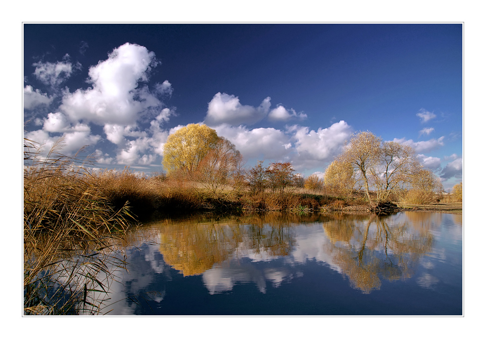 Goldener Herbst II