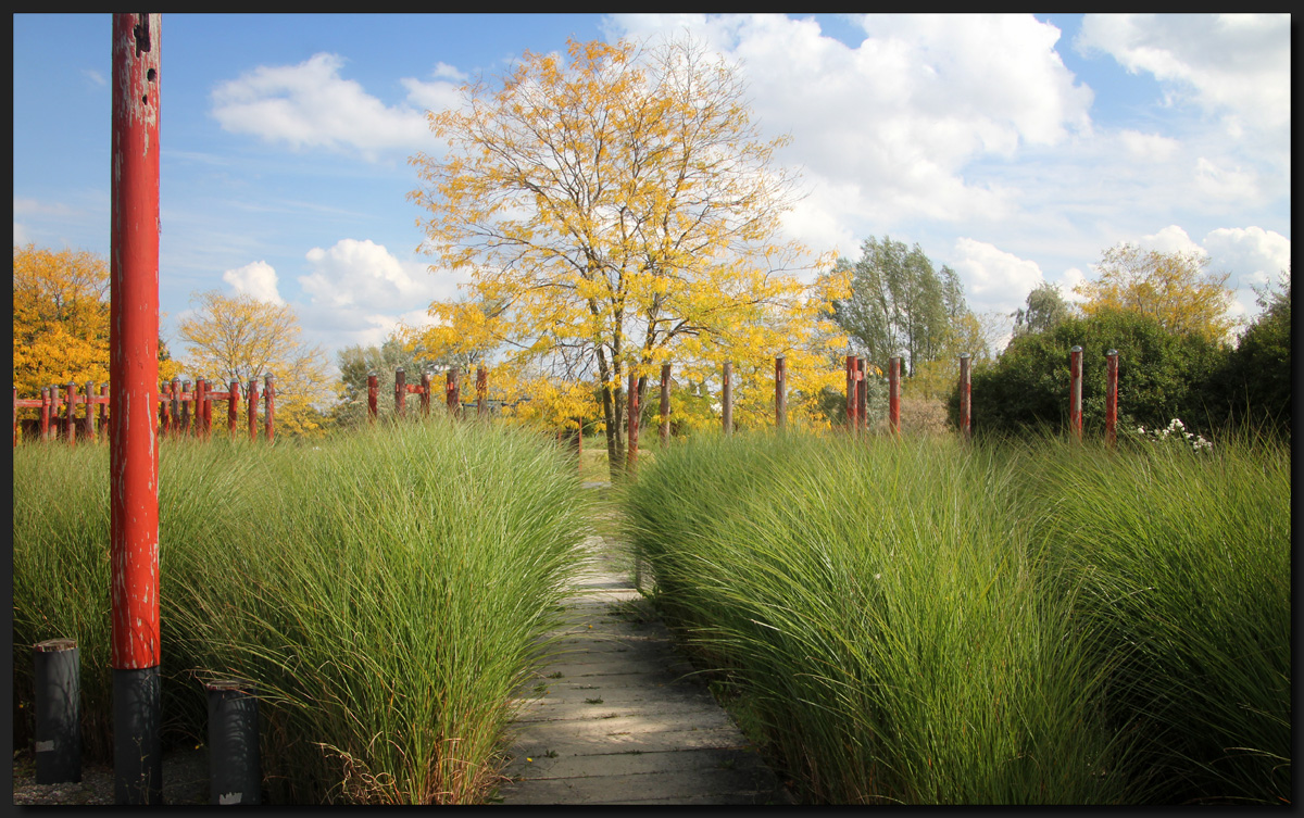 ...Goldener Herbst...  II