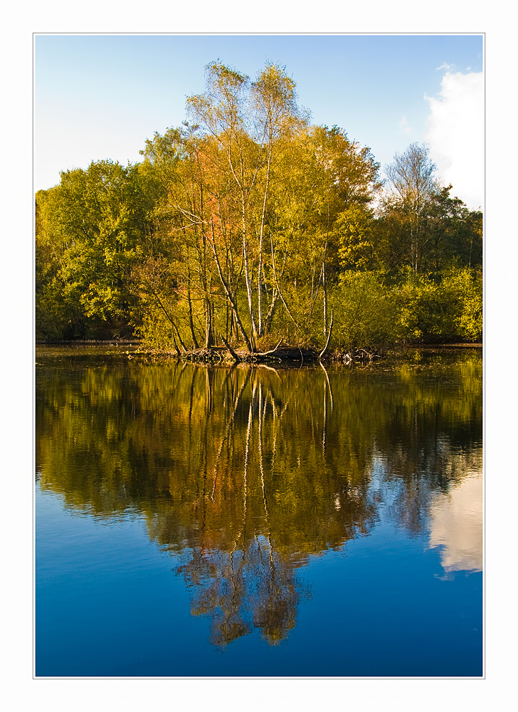 --- goldener Herbst II ---