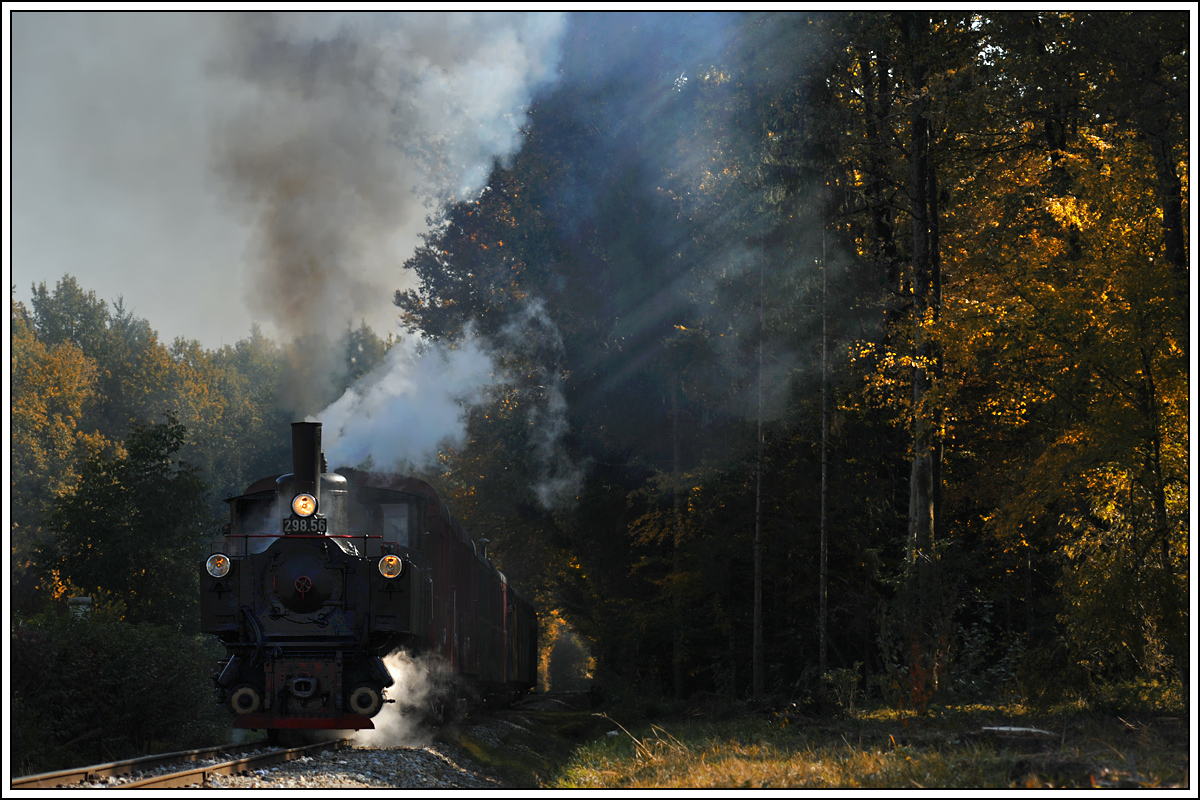 Goldener Herbst II