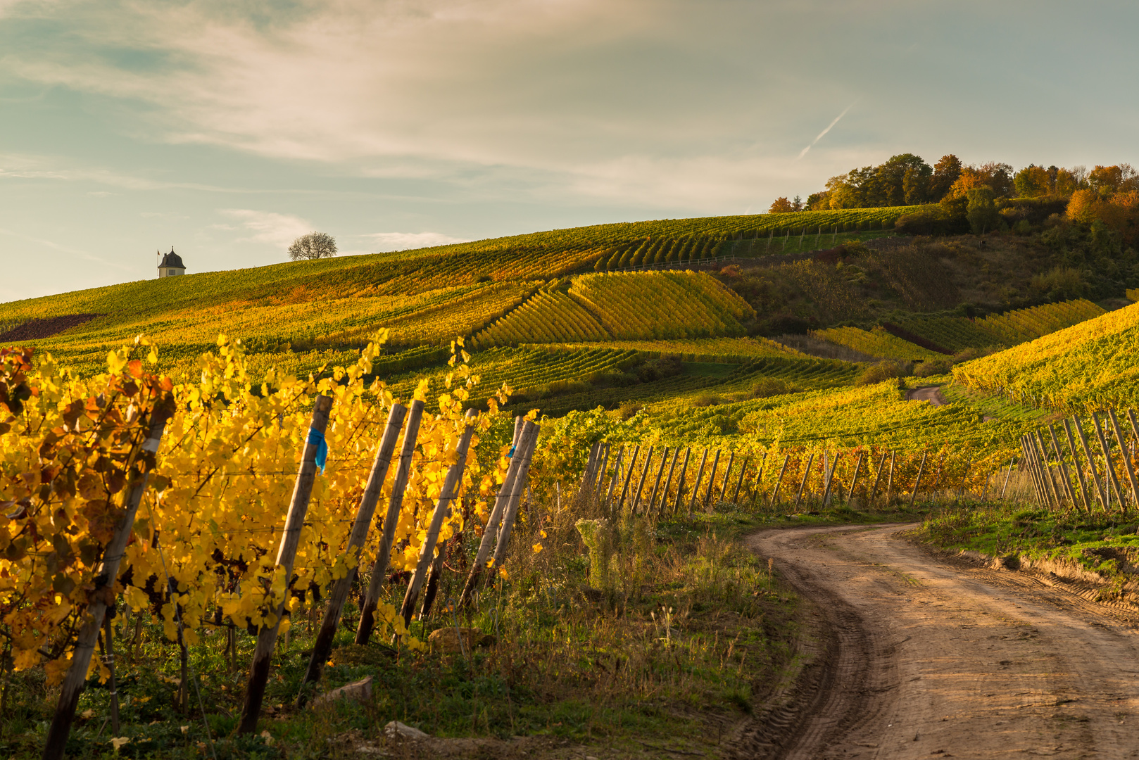 Goldener Herbst II