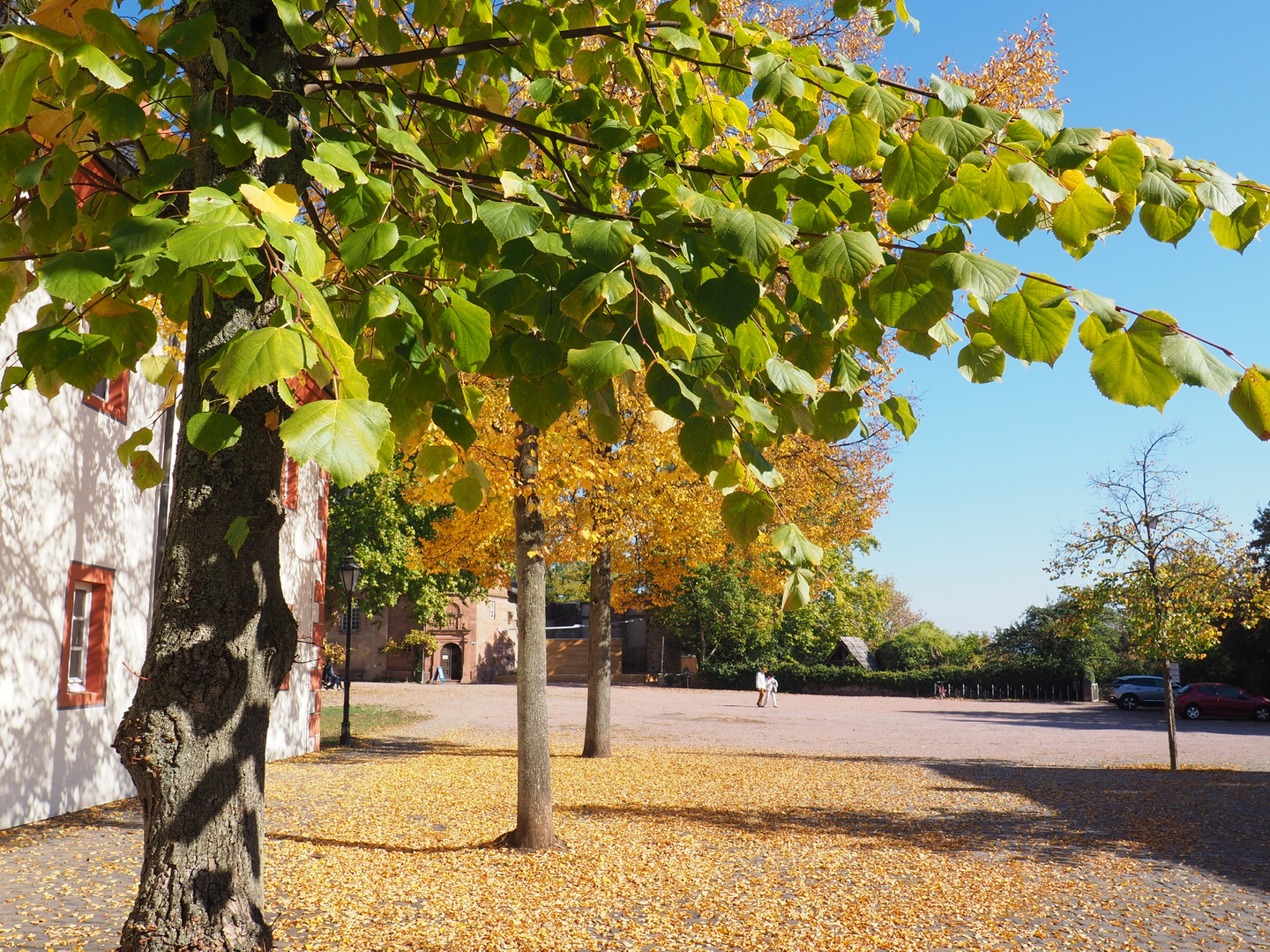 Goldener Herbst II