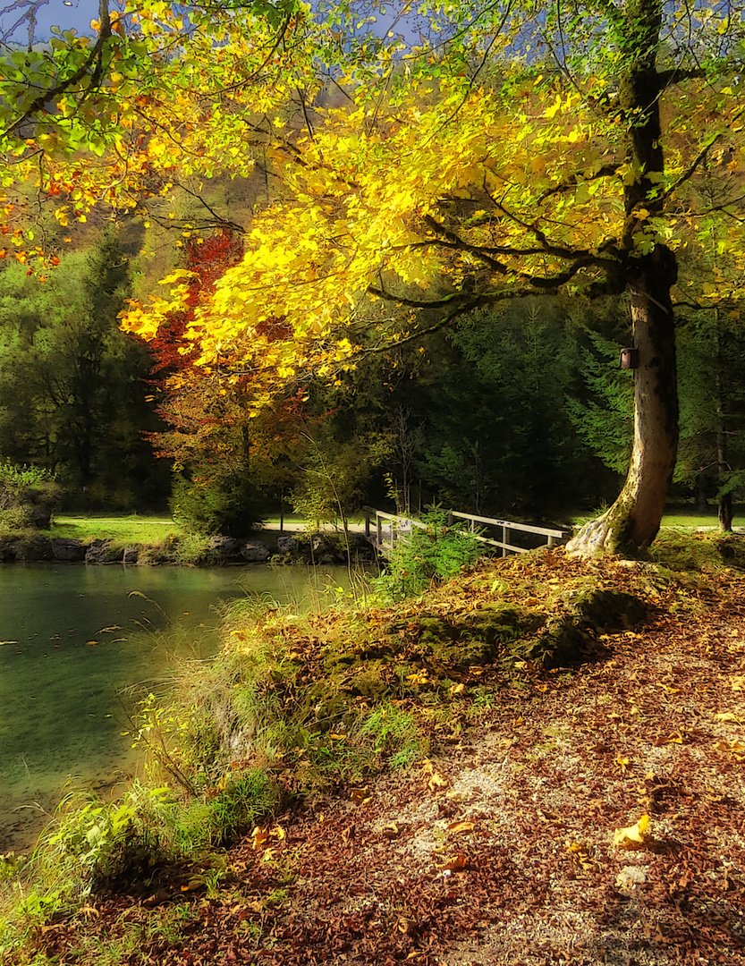 Goldener Herbst im Almtal