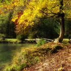 Goldener Herbst im Almtal