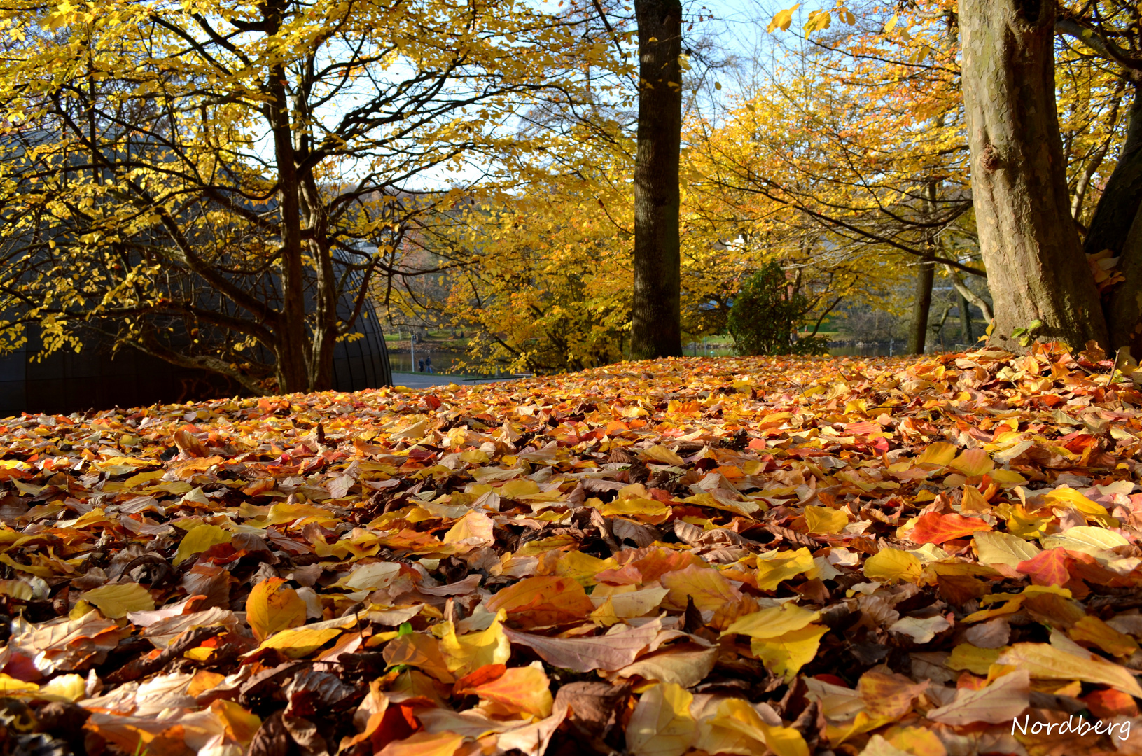 goldener Herbst im DFG Saarbrücken