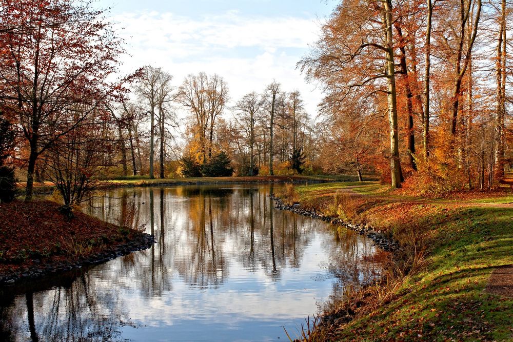 Goldener Herbst im Gothaer Park