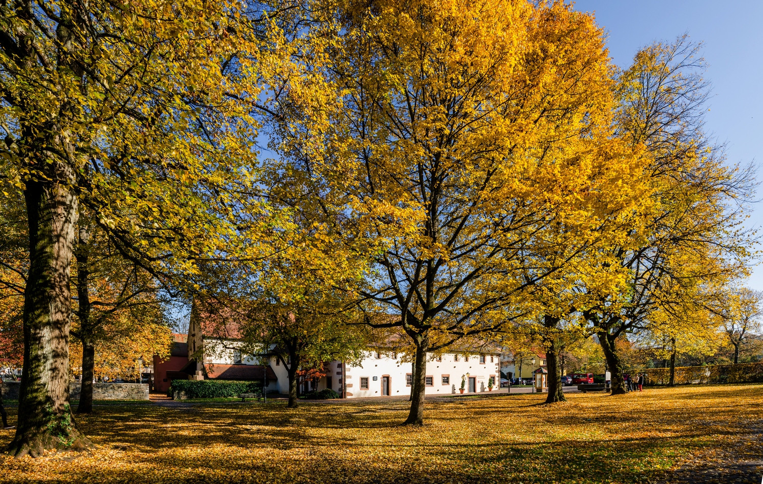 Goldener Herbst im Haslacher Klostergarten