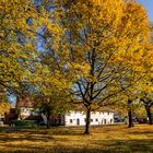 Goldener Herbst im Haslacher Klostergarten