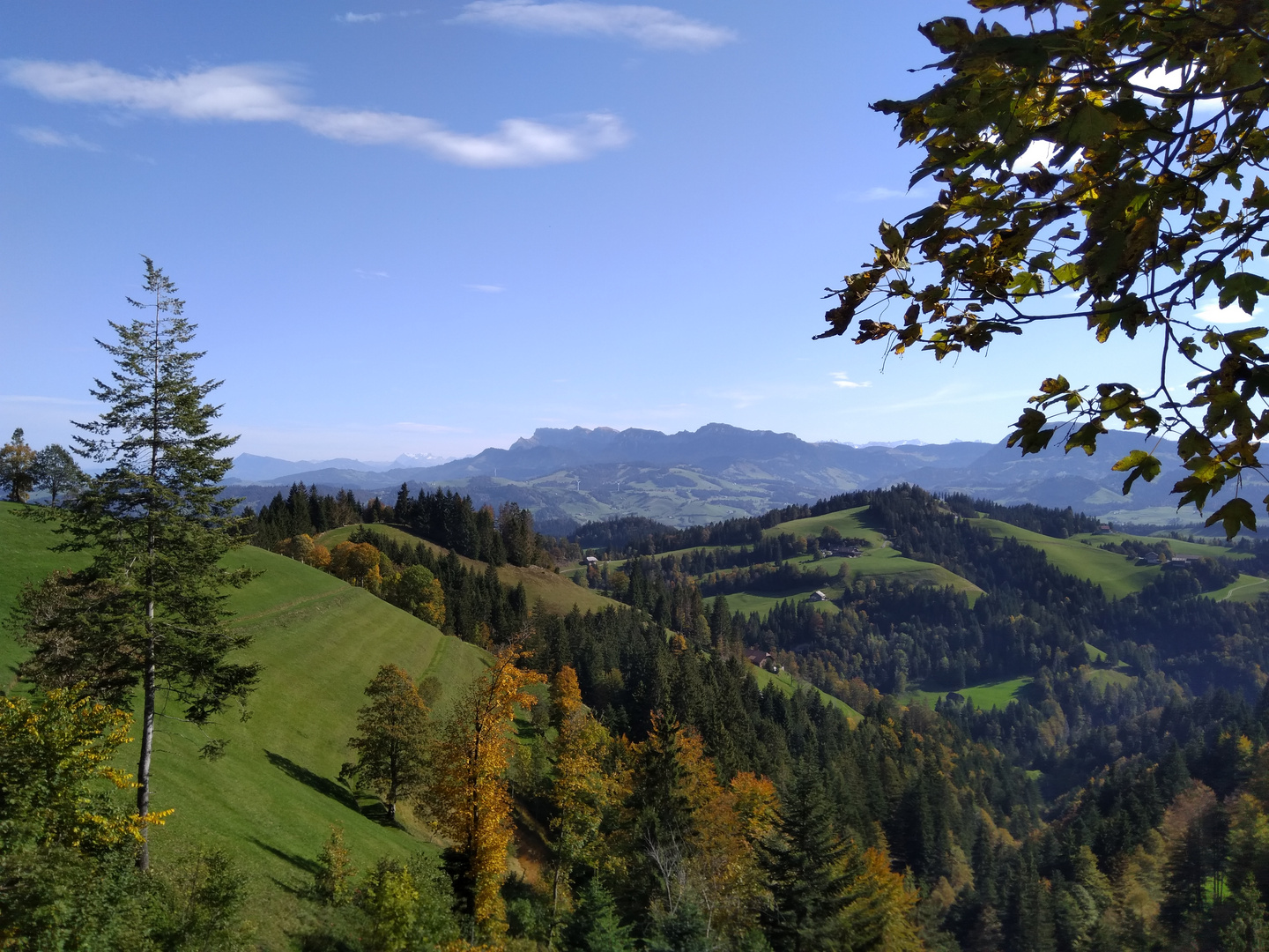 Goldener Herbst im Herzen der Schweiz