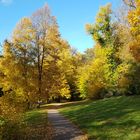 Goldener Herbst im Ilm-Park in Weimar (1)