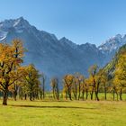 Goldener Herbst im Karwendel