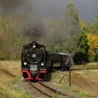 Goldener Herbst im Mansfelder Land 3.