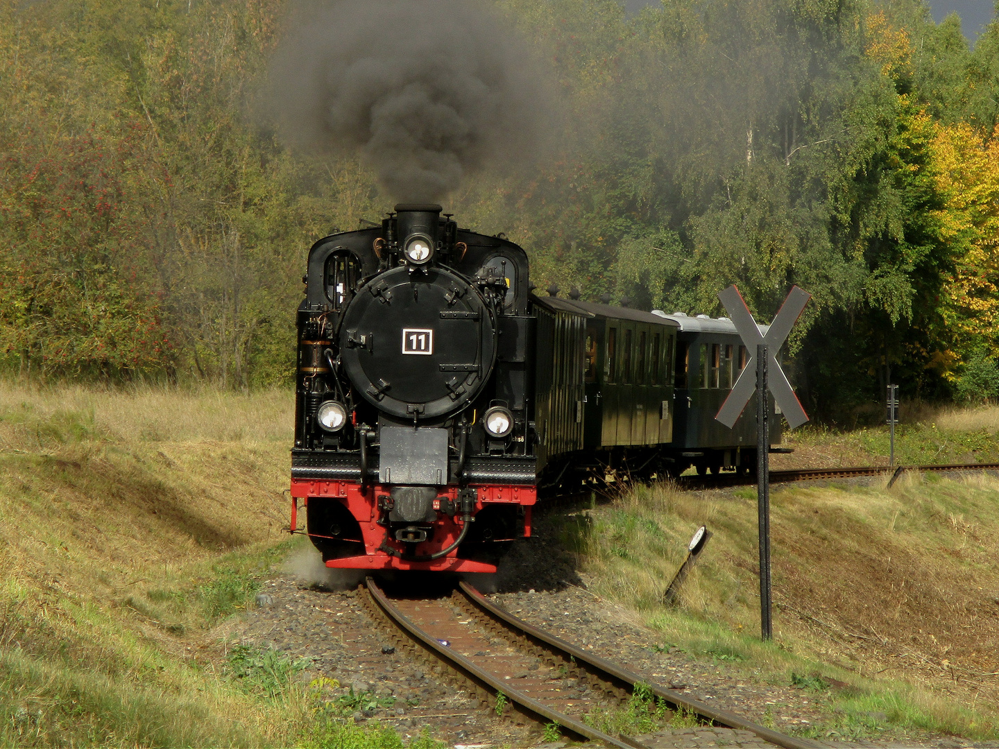 Goldener Herbst im Mansfelder Land 4.