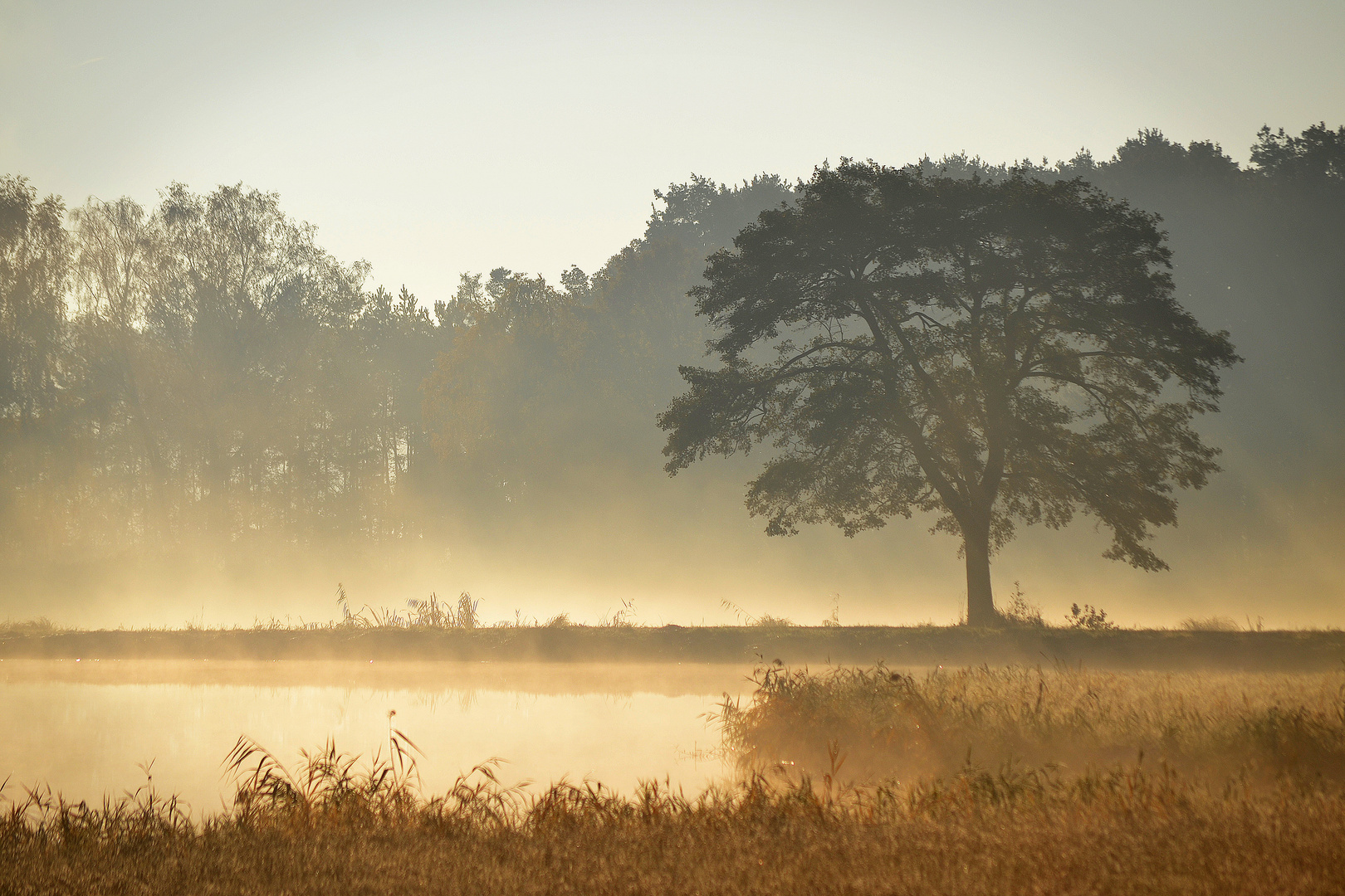 Goldener Herbst im Moorhof